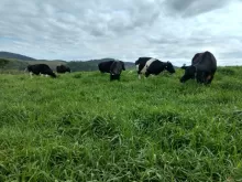 BRS Integra - Foto: LA FALCE, Marcos